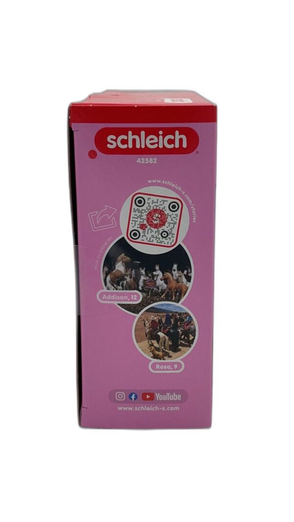 coffret figurine schleich - 3