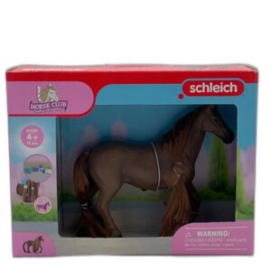 coffret figurine schleich - 1