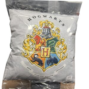 Coussin Harry Potter - 1