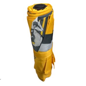 parapluie poussoufle - 1