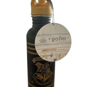 Gourde en aluminium Harry Potter Hogwarts 750 ml The Pyramid International 1