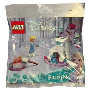 Lego Disney Frozen 30559 la reine des neiges Elsa et Bruni camp dans la forêt 1