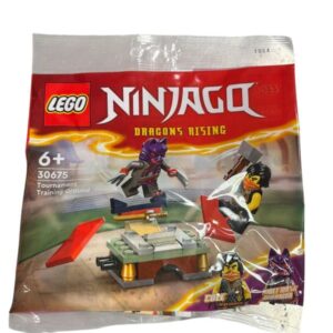 Lego Ninjago 30675 Dragons Rising Tournament Training Ground Cole et Wolf Mask Warrior 1
