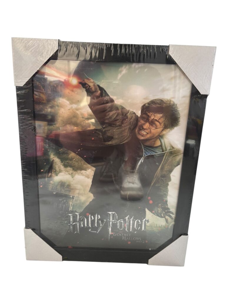 Affiche Harry Potter - 1
