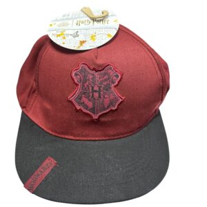 casquette harry potter - 1